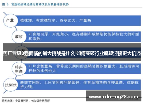 药厂晋级8强面临的最大挑战是什么 如何突破行业瓶颈迎接更大机遇 药厂晋级8强面临的最大挑战是什么 如何突破行业瓶颈迎接更大机遇