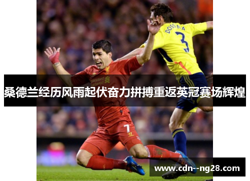 桑德兰经历风雨起伏奋力拼搏重返英冠赛场辉煌